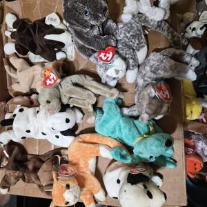 Ty Beanie Babies Dogs And Cats Plush Collection